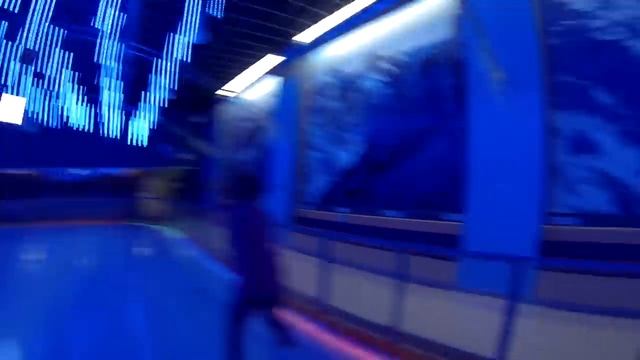 Каток Омега 20140908 GOPR0062 смотреть онлайн