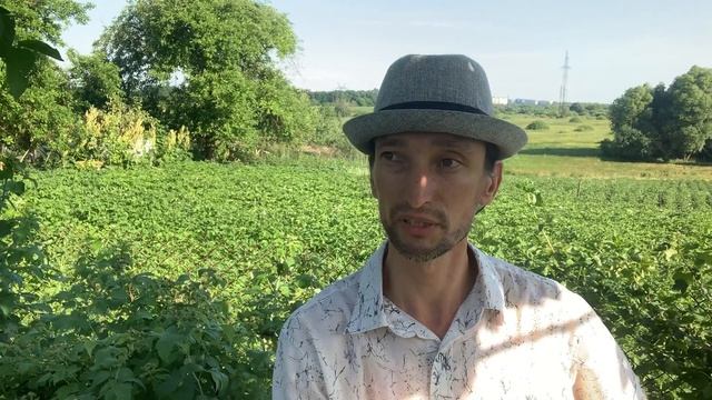 Отзыв Антона о прошедшей сессии по целительству.