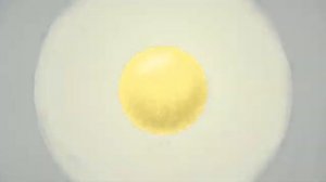 Видеоурок по теме «Строение атома» для 8 класса