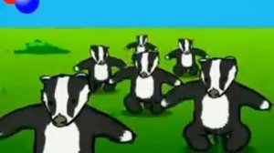 Badger song (Badger badger badger , mushroom mushroom)