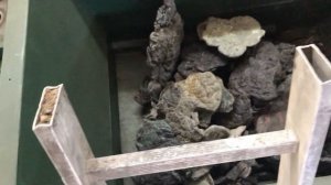 Дробление и измельчение отходов