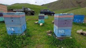 долина пчел в гельхене,горы дагестана,кавказская порода пчел.