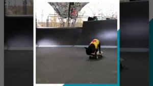 French bulldog shows off skating skills