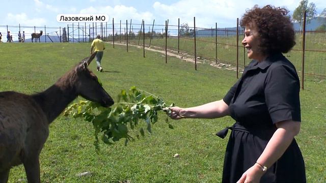 Мараловой ферме помогут решить законодательную проблему