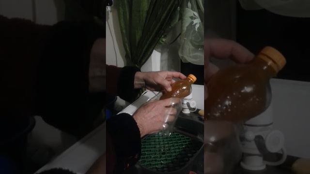 фанта желе смотреть онлайн