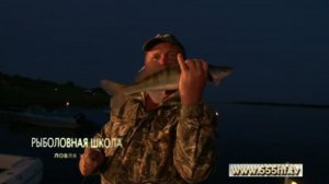 Ловля хищника на живца.