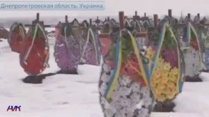 Ставки сделаны, господа!