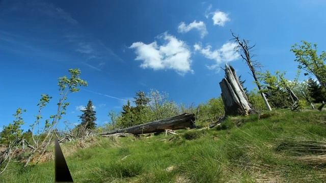 светящиеся наушники купить в Гурьевске смотреть онлайн