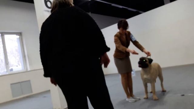 20160223 162720 смотреть онлайн