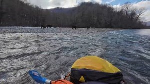 Сплав по Шахе зимой