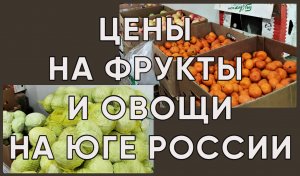 223. Белореченск-фруктовый рай/Переехали на юг России и не пожалели