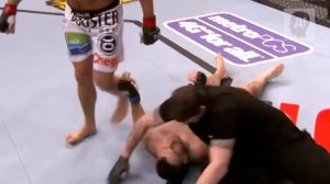 ЕМЕЛЬЯНЕНКО-МИТРИОН. БОЙ ГОДА