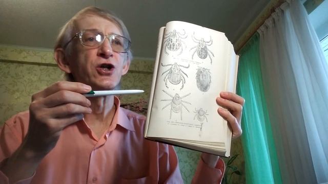 Иксодовые Клещи - Переносчики Вирусов и Болезней? Как Защититься? ЧАСТЬ-1. смотреть онлайн