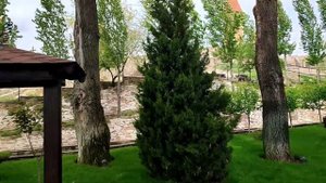 парк Лога хутор Старая Станица Ростовская область