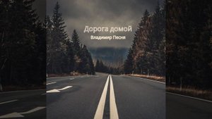 Дорога домой