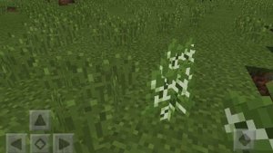 Как вырастить огромный дуб в Minecraft