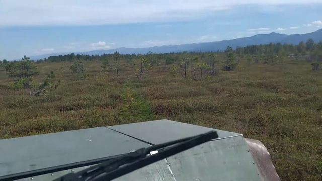 По болоту. смотреть онлайн