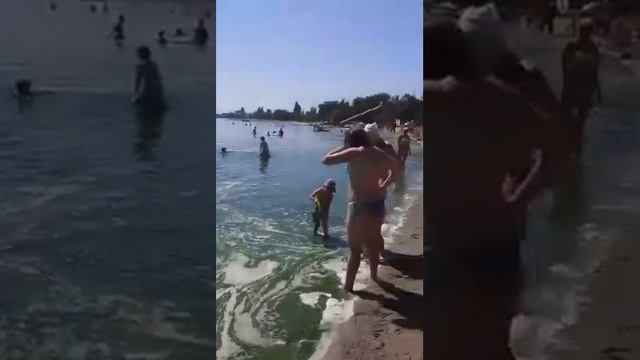 Днестровск лиман пляж. Очень грязная вода. Прямо сейчас