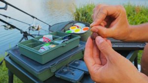 Мой карповый монтаж - Carp Angling!