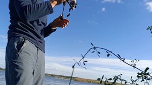 Ловля окуня на мормышинг