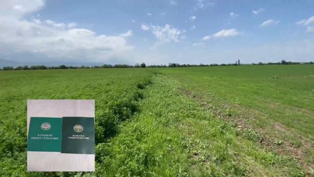 АЙДОО ЖЕР САТЫЛАТ ЭКИ ЖАРЫМ ГЕКТАР смотреть онлайн