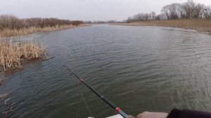 Преднерестовый жор щуки и температура воды.