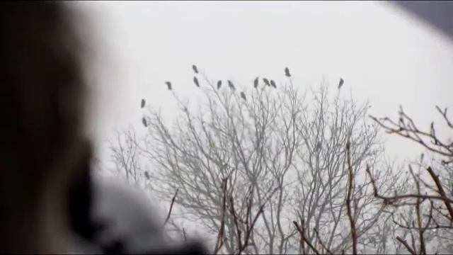 КАТРАН в работе 01 смотреть онлайн