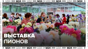 Выставка пионов и ирисов в "Аптекарском огороде" стартует 6 июня - Москва 24