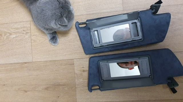 Как перетянуть потолок в Алькантару, как это делал я! смотреть онлайн