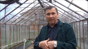 Высаживаем рассаду ТОМАТОВ в теплицу. Посадка в траншею ЛЁЖА - в чем преимущества?