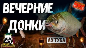 РР4/ рыбалка для души, ловим как универсал, общаемся 27.10.23