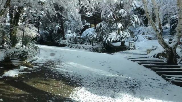 Пансионат Альфа Зимняя Сказка смотреть онлайн