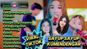 SAYUP SAYUP KUMENDENGAR DIN ANNESIA AND FRIENDS FULL ALBUM BERPISAH DIUJUNG JALAN || VIRAL TIKTOK