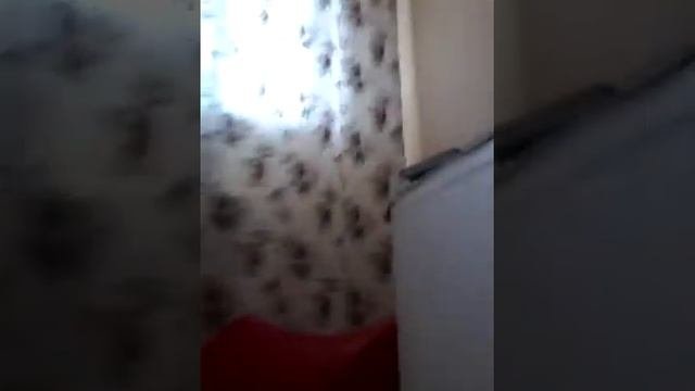 Конюшня своими руками.