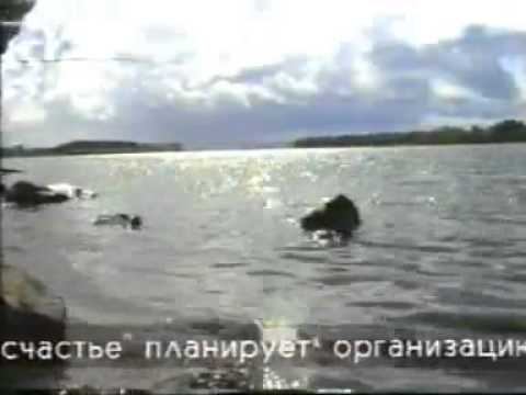 Программа "Рыбацкое счастье"