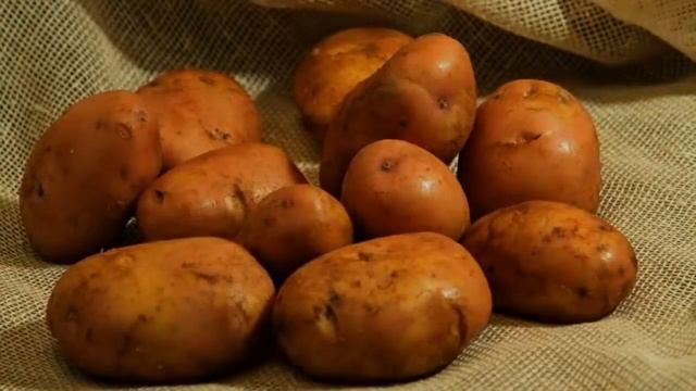 Поздние Сорта Картофеля