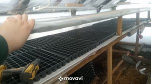 Зимняя теплица своими руками. Обзор. Теплица зимой.