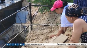 Родственники сами ищут улики и пытаются спасти от разрушения разграбленный могильный склеп