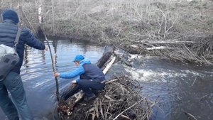 Река Урень в Ульяновске ,делаем переправу через реку.