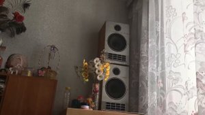 25AC-128 и концертный Усилитель.