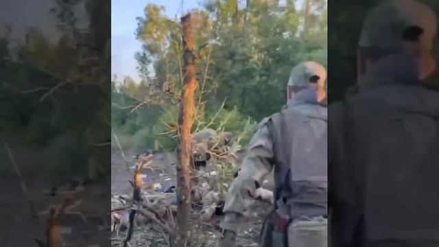 Южный фронт. Разгром ВСУ. Военнопленные.