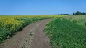 полуденный зной