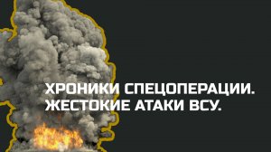 Без комментариев: Хроники спецоперации на Украине