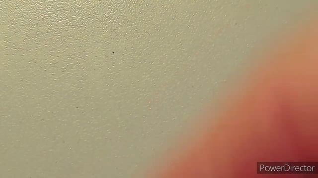 History of Coins: Season 6 Episode 5 Susan B Anthony Dollar смотреть онлайн