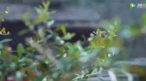 Императорский коронер 1 сезон 17 серия