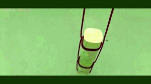 Бочечный Узел | Как Сделать Узел Бочечный и Применить | Barrel Hitch #usefulskills #узелбочечный