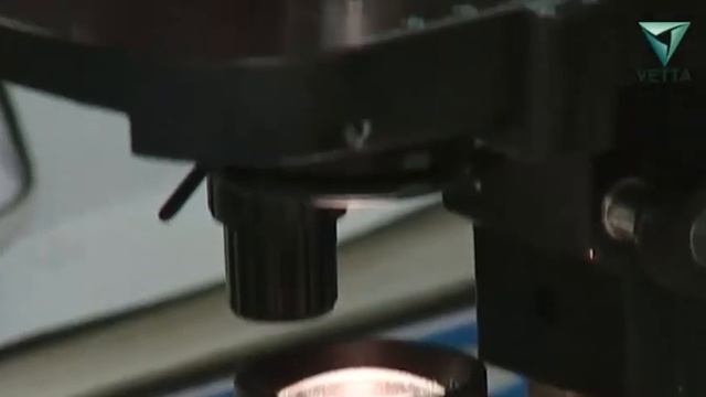 Весенние обострения болезней ЖКТ