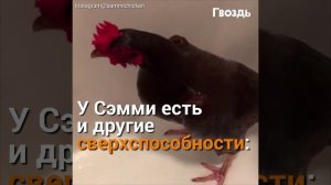 Когда появилась подружка невесты, про саму невесту забыли сразу.