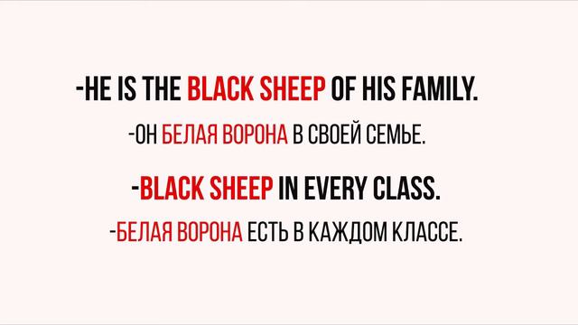 black sheep - английские идиомы 9