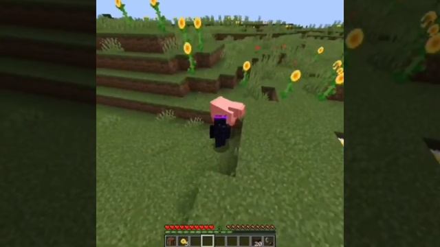 Minecraft But Every Kill Gives Me A Random Potion Effect смотреть онлайн